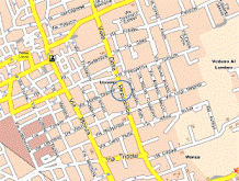 Testo alternativo accessibile